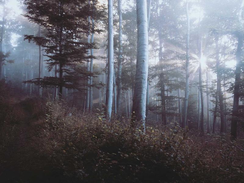系统耗电清理<br>iOS冗余进程省电设置